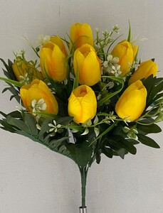 Тюльпан с добавкой S-