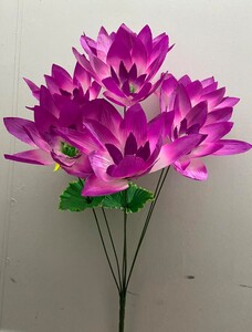 Лотос атласний високий J