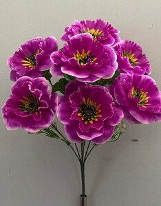 Гербера с сорной серединкой 7 ка