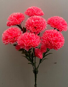 Хризантема с детками