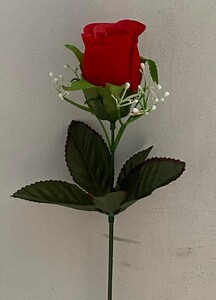 Бутон бархатнай с кашкой одиночный