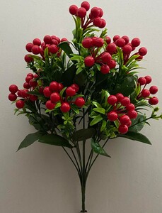 Калина  9 ка