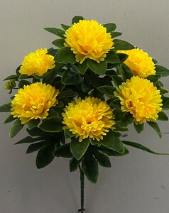 Хризантема мелкая с листом