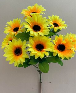 Подсолнух 9 ка Г