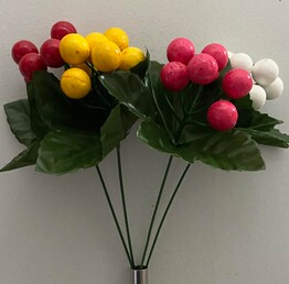 Ягода зал-ка кольорова