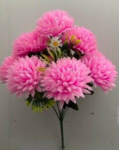 Хризантема цветная с добавкой 9 ка