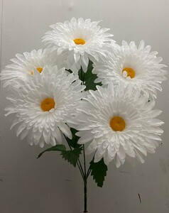 Ромашка гигант 5 ка белая