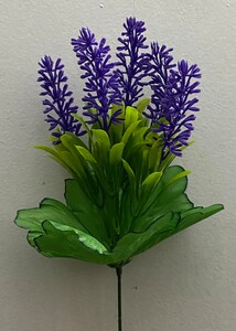 Лаванда нова g