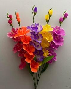 Гладиолус новий