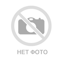 Астра ежик с ромашкою